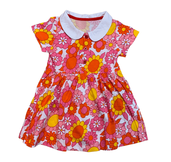 Little girls dress with flower print and collar