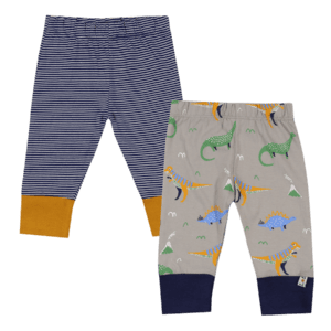 2 pack baby boys pants dinosaur and stripes