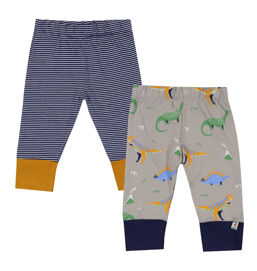2 pack baby boys pants dinosaur and stripes